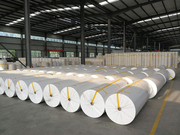 临江狭缝式涤纶纺粘无纺布